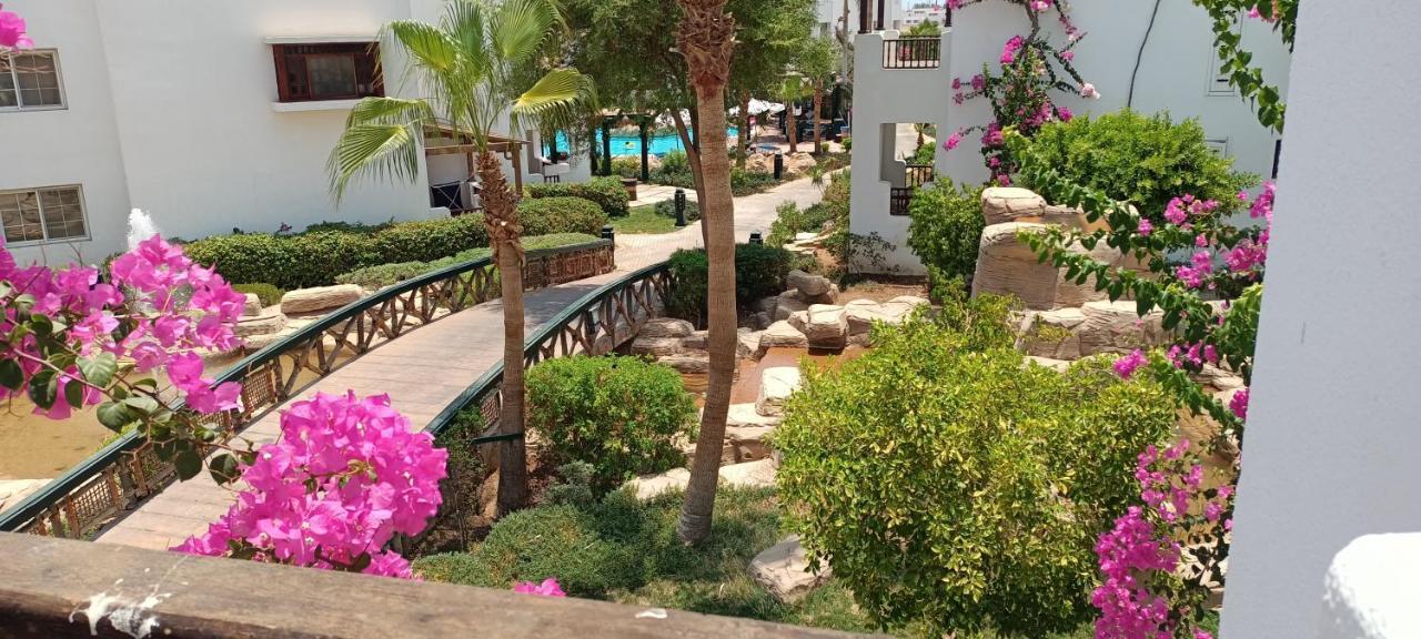 Deluxe Apartment Delta Sharm Exteriör bild