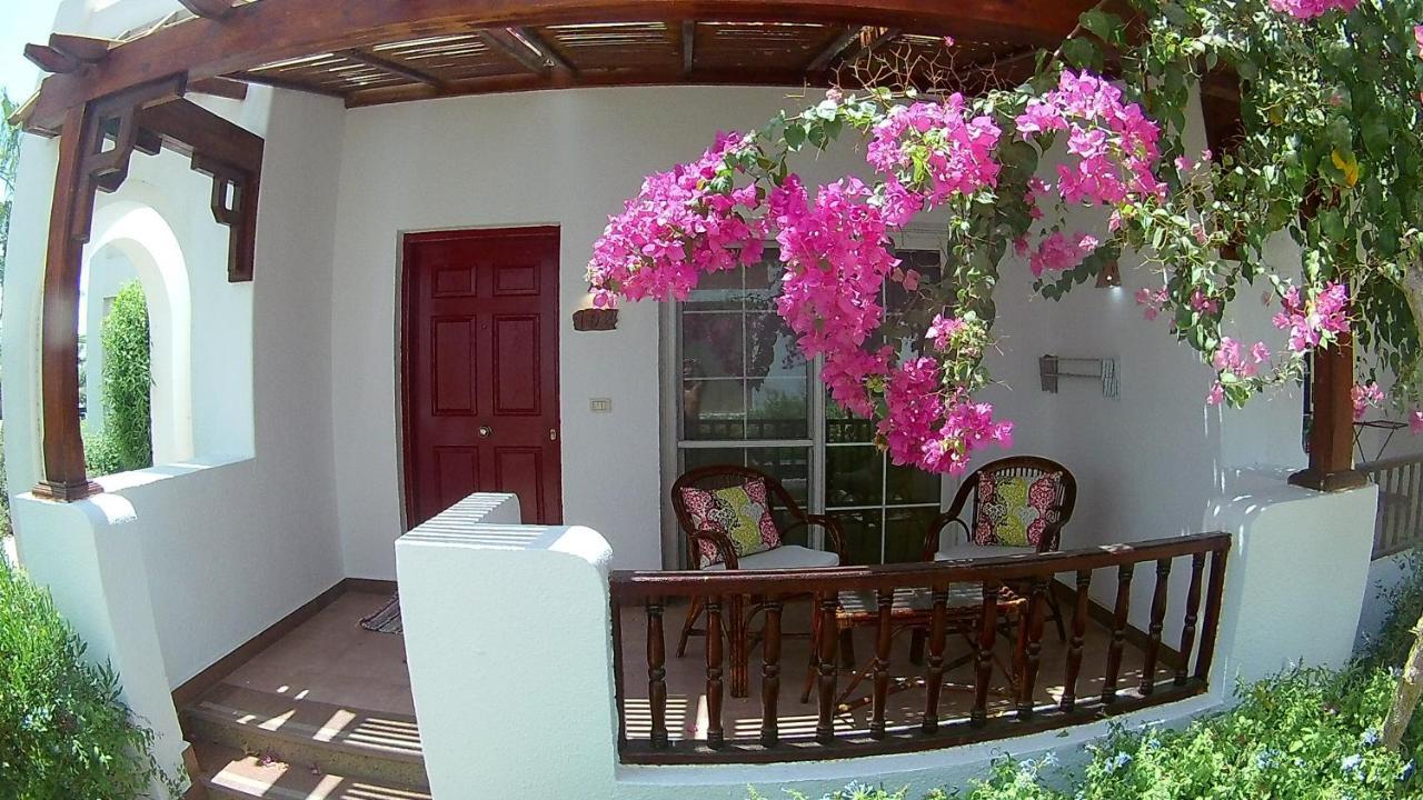 Deluxe Apartment Delta Sharm Exteriör bild